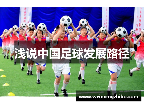 浅说中国足球发展路径