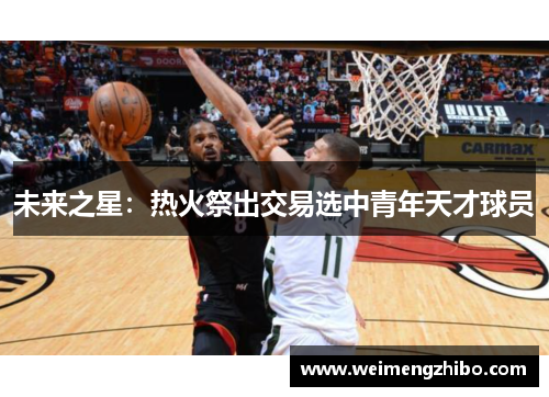 未来之星：热火祭出交易选中青年天才球员